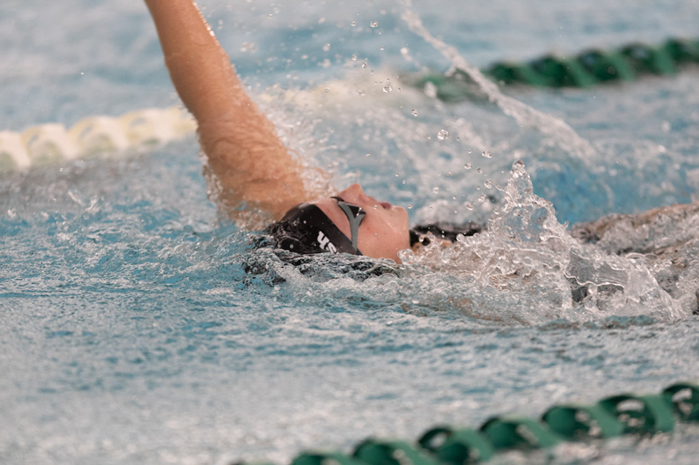 %_tempFileName1M6A8433%