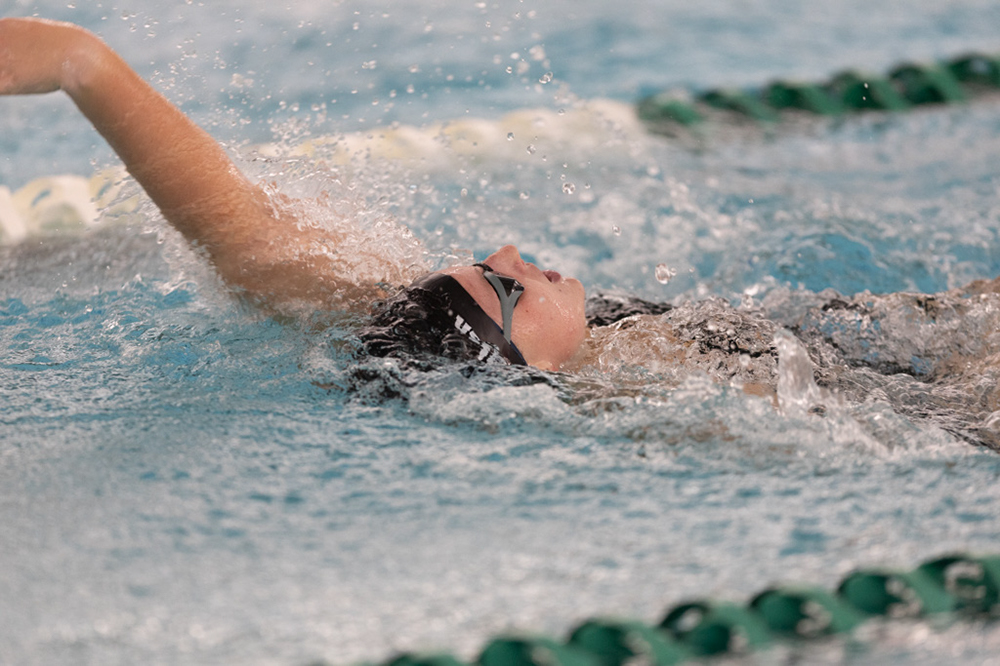 %_tempFileName1M6A8434%