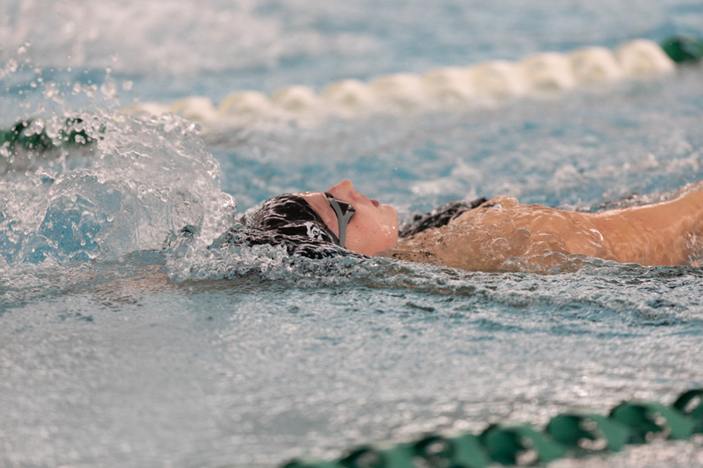 %_tempFileName1M6A8439%