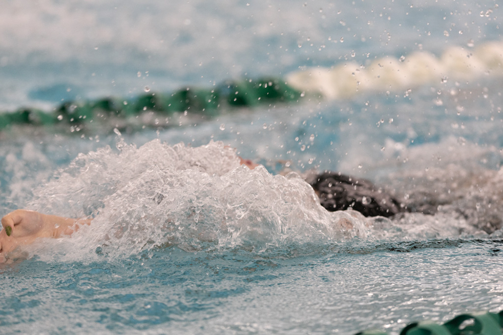 %_tempFileName1M6A8446%