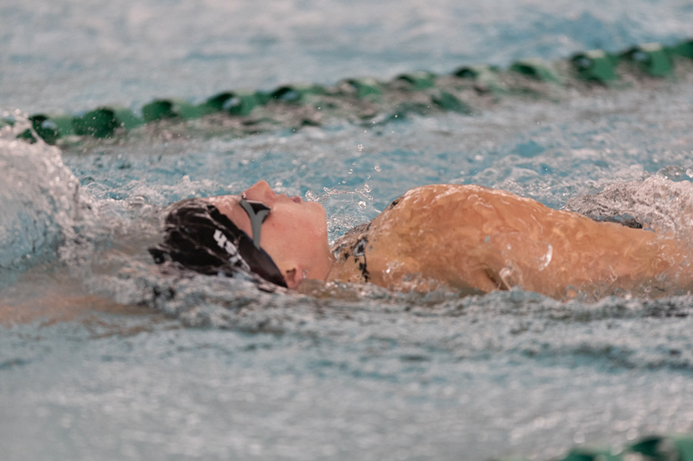 %_tempFileName1M6A8447%