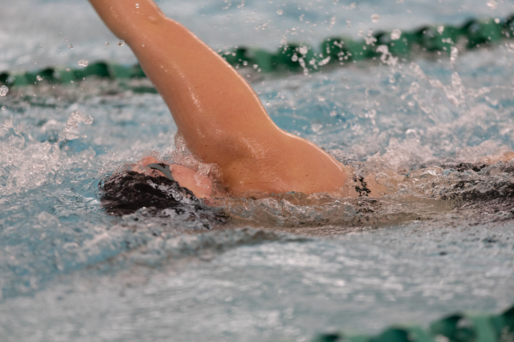 %_tempFileName1M6A8453%