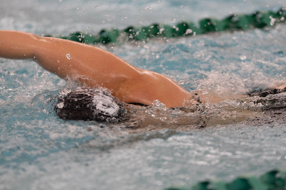 %_tempFileName1M6A8454%