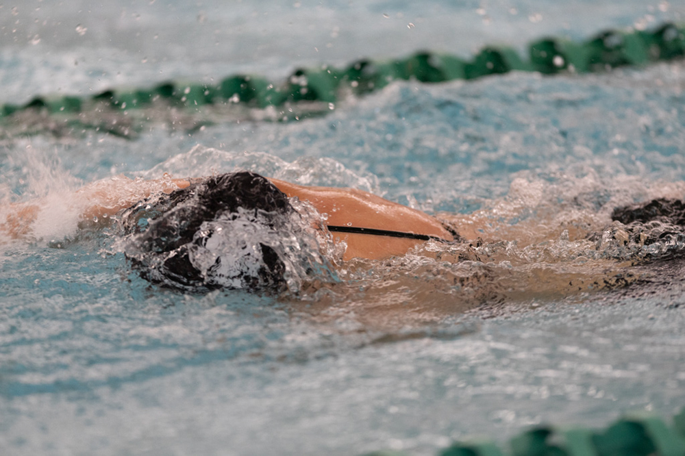 %_tempFileName1M6A8455%