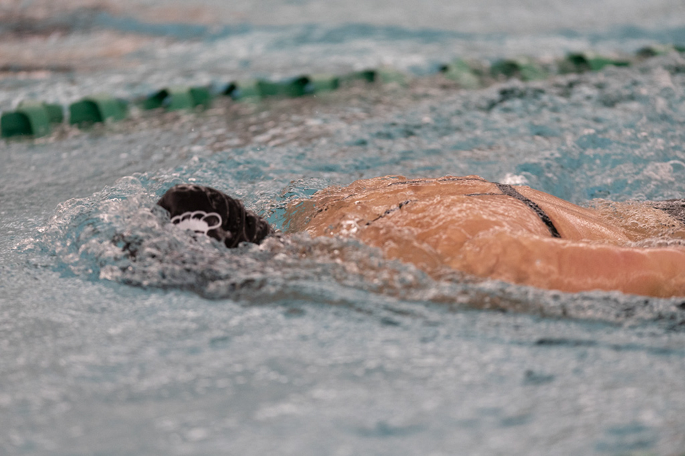 %_tempFileName1M6A8468%