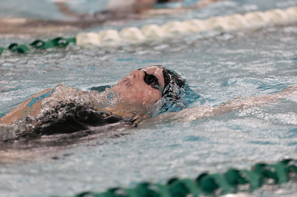 %_tempFileName1M6A8474%