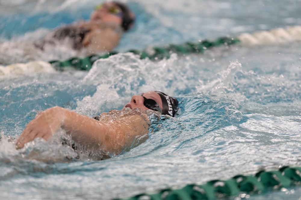 %_tempFileName1M6A8488%