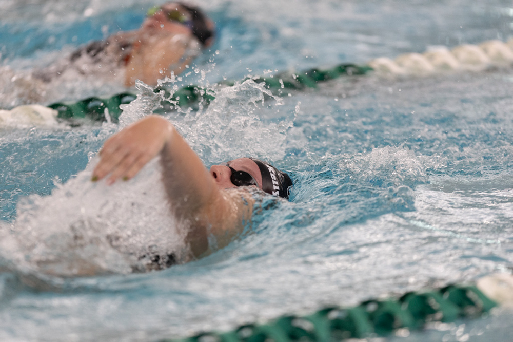 %_tempFileName1M6A8489%