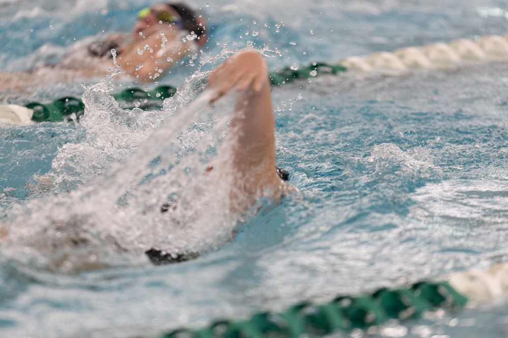 %_tempFileName1M6A8490%