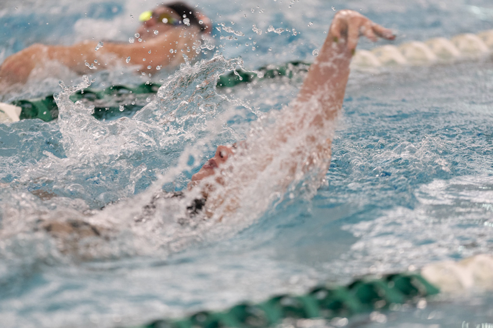 %_tempFileName1M6A8491%