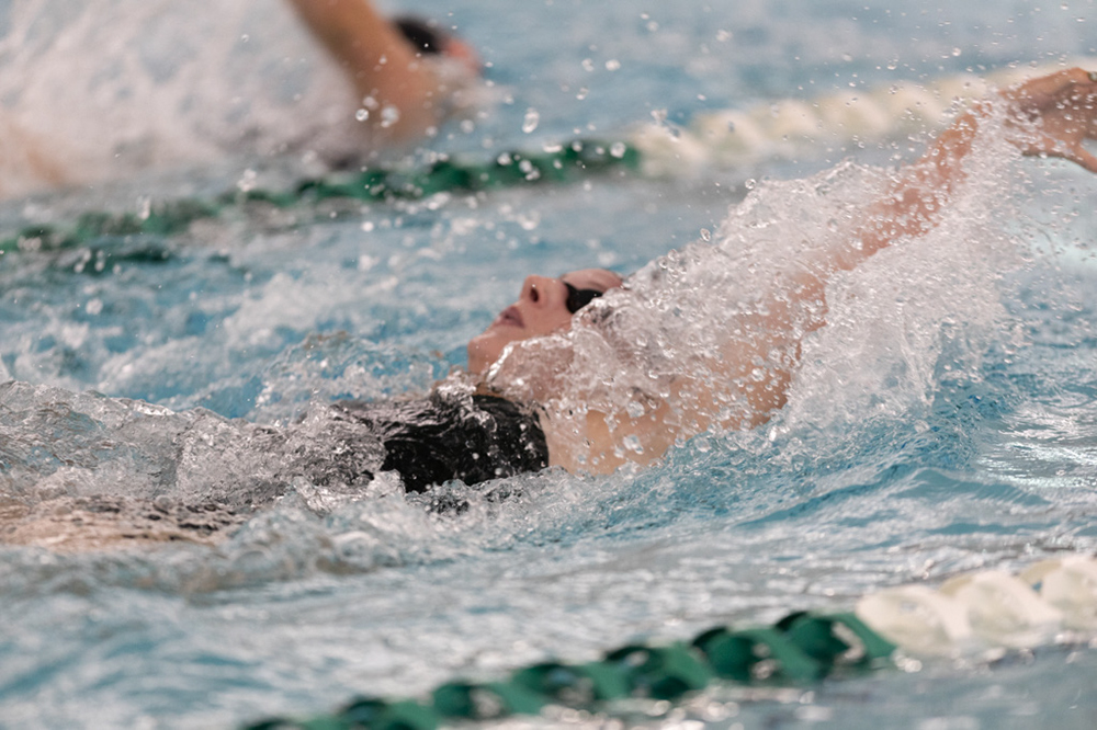 %_tempFileName1M6A8493%