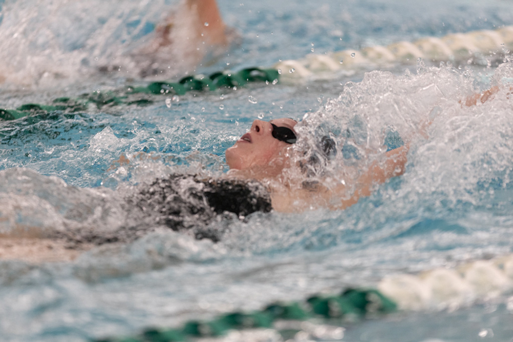 %_tempFileName1M6A8494%