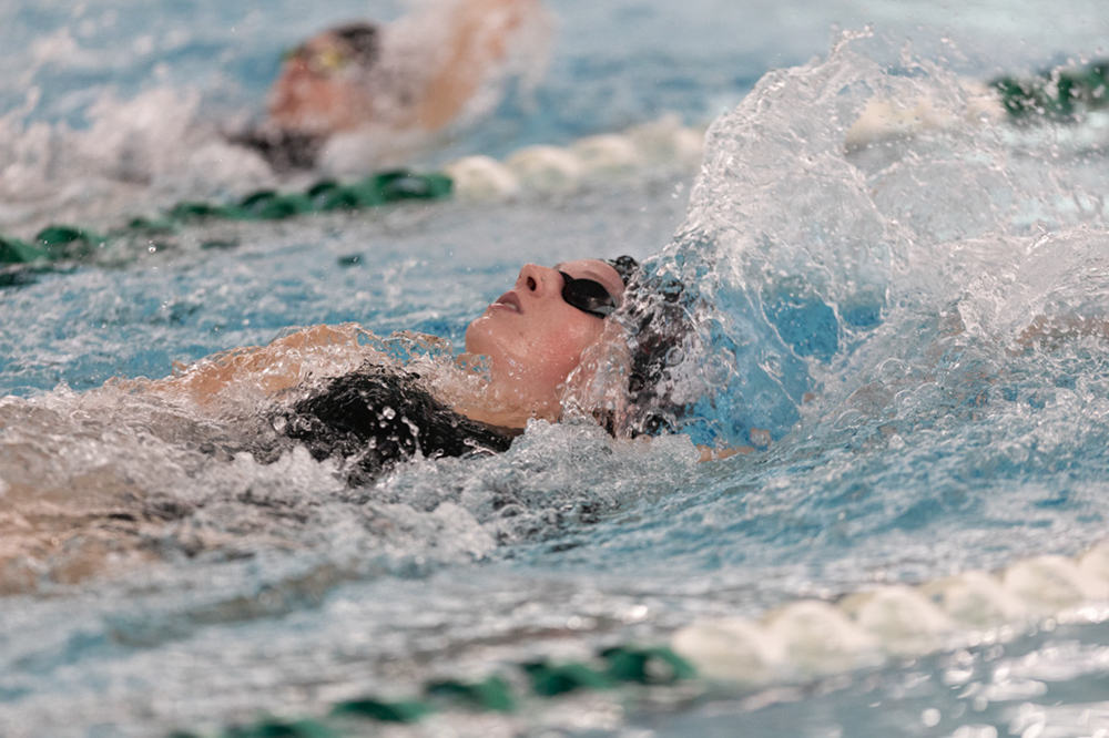 %_tempFileName1M6A8496%