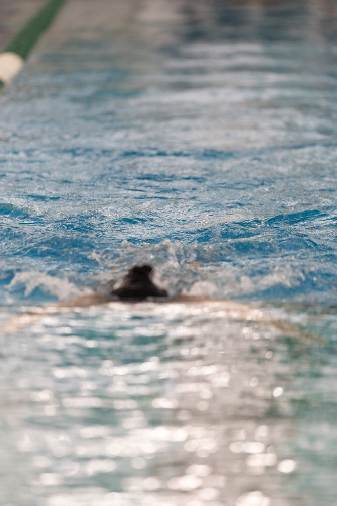 %_tempFileName1M6A8508%