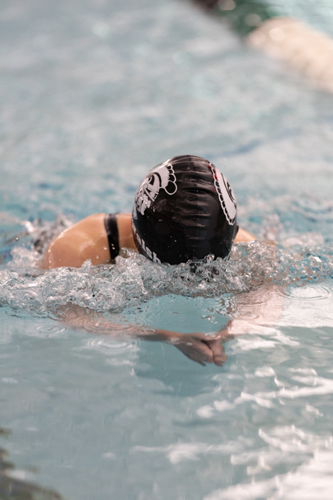 %_tempFileName1M6A8585%