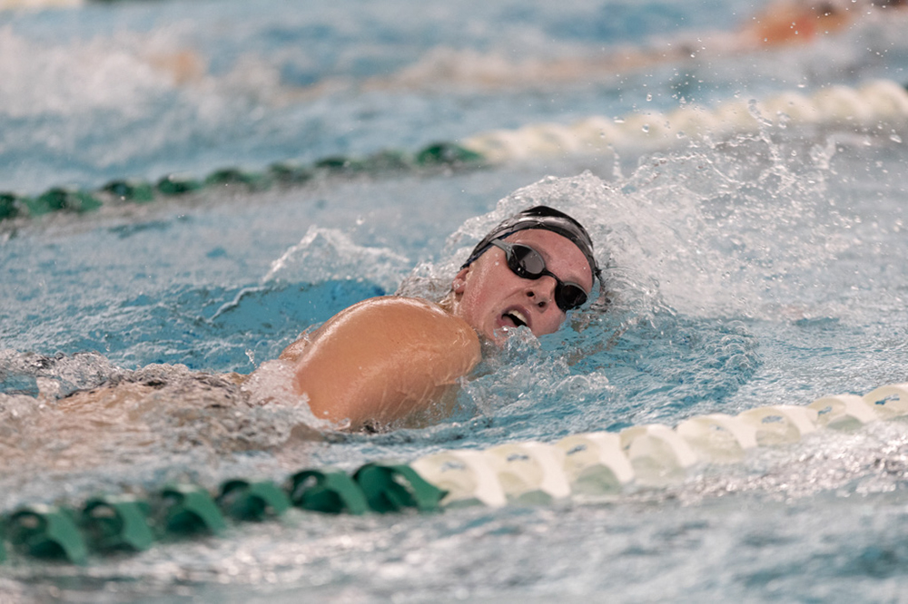 %_tempFileName1M6A8595%