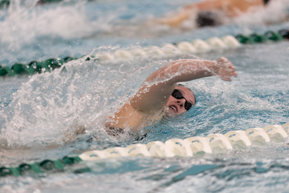 %_tempFileName1M6A8599%