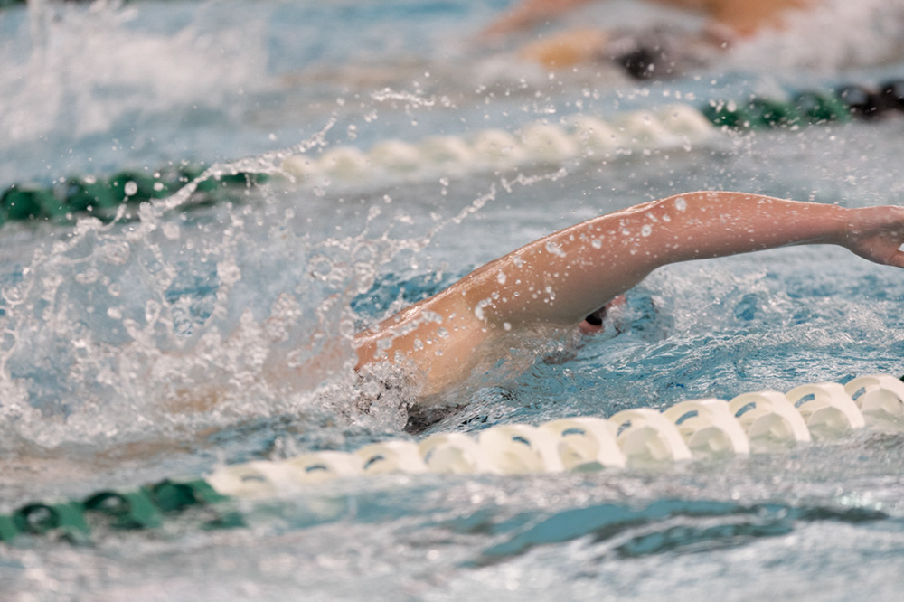 %_tempFileName1M6A8600%