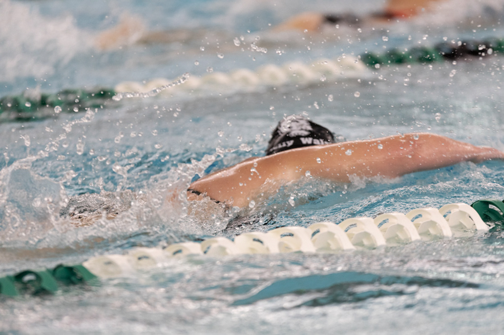 %_tempFileName1M6A8601%