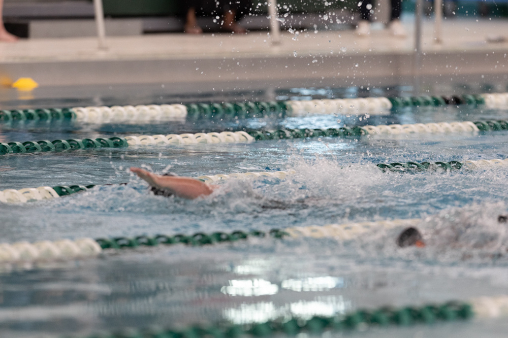 %_tempFileName1M6A8611%