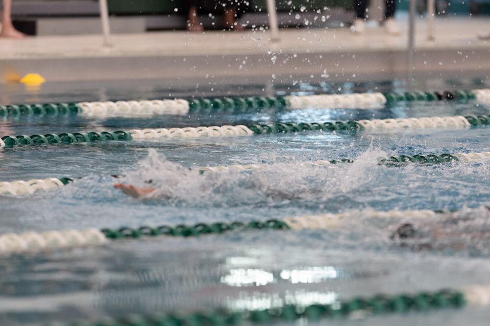 %_tempFileName1M6A8612%