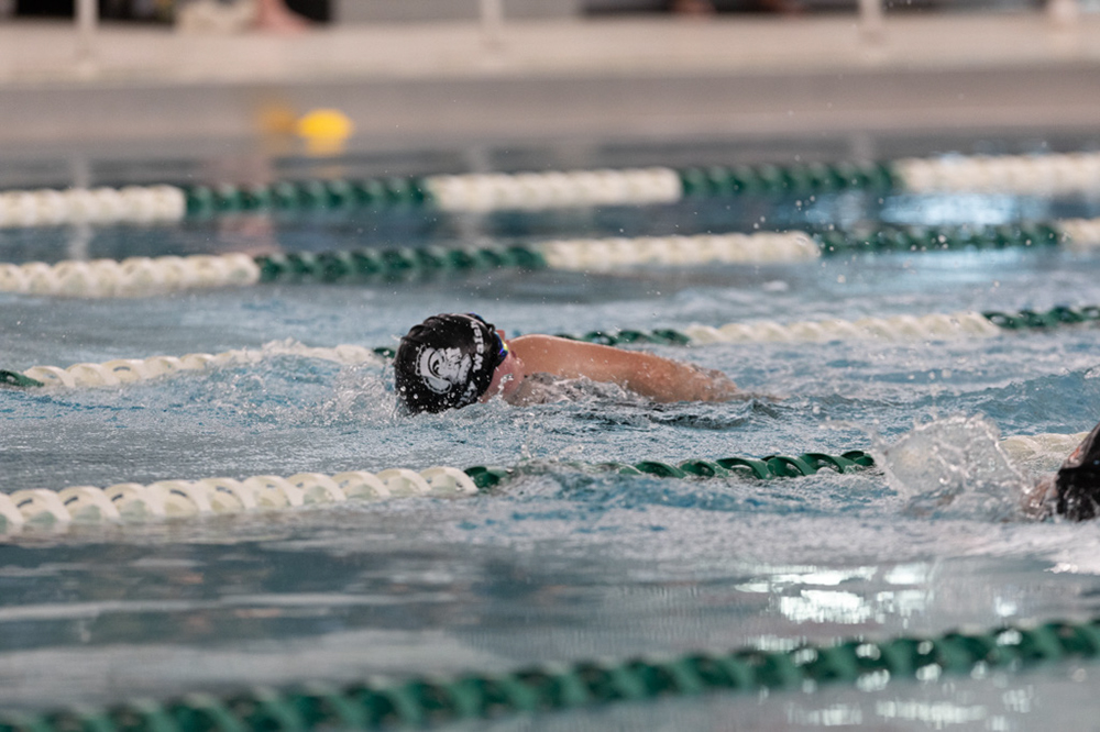 %_tempFileName1M6A8613%