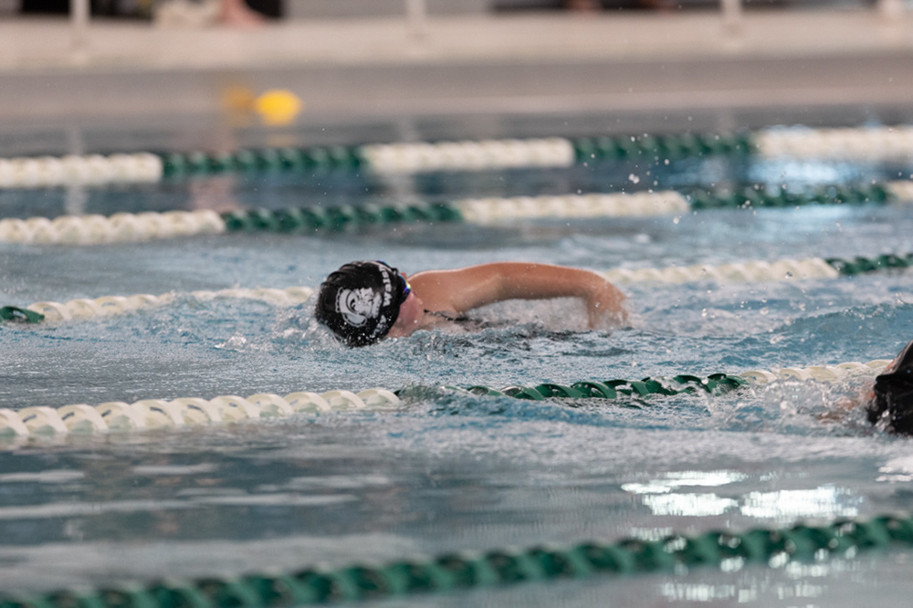 %_tempFileName1M6A8614%