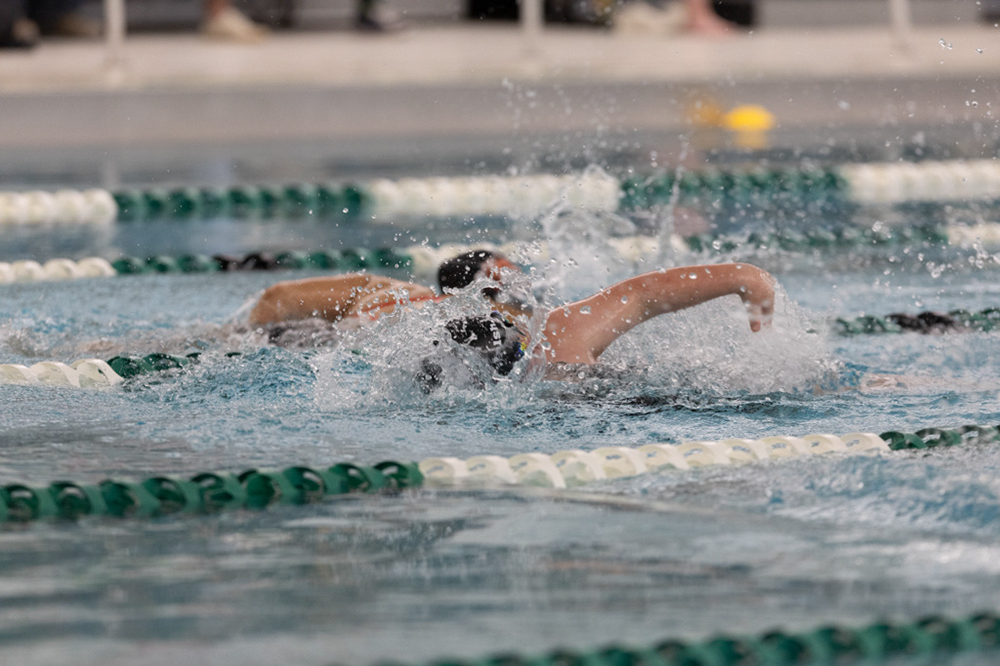 %_tempFileName1M6A8616%