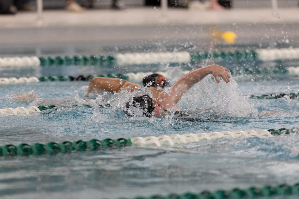 %_tempFileName1M6A8617%