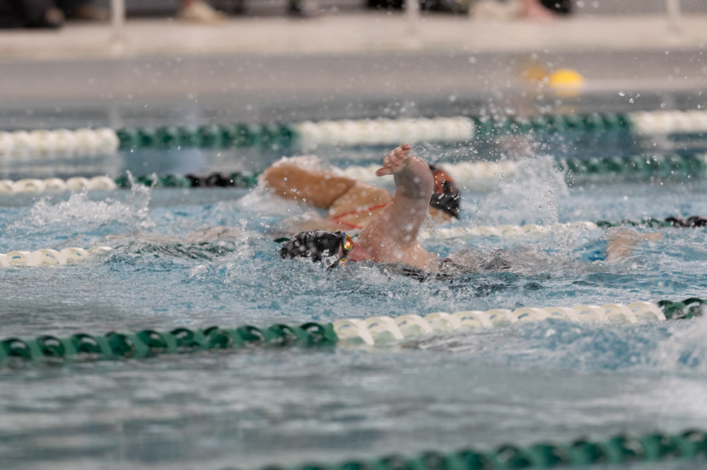 %_tempFileName1M6A8619%