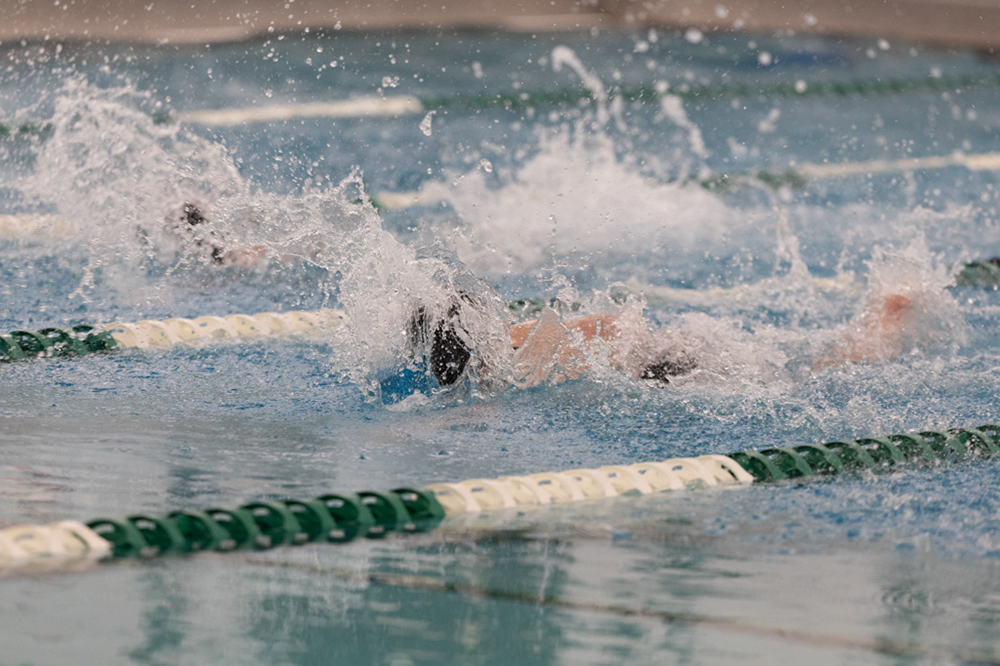 %_tempFileName1M6A8628%