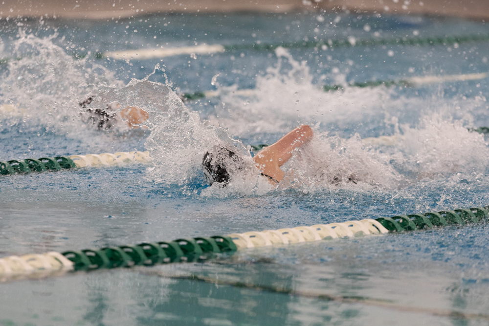 %_tempFileName1M6A8629%