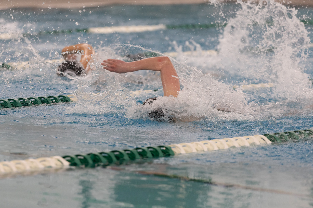 %_tempFileName1M6A8631%