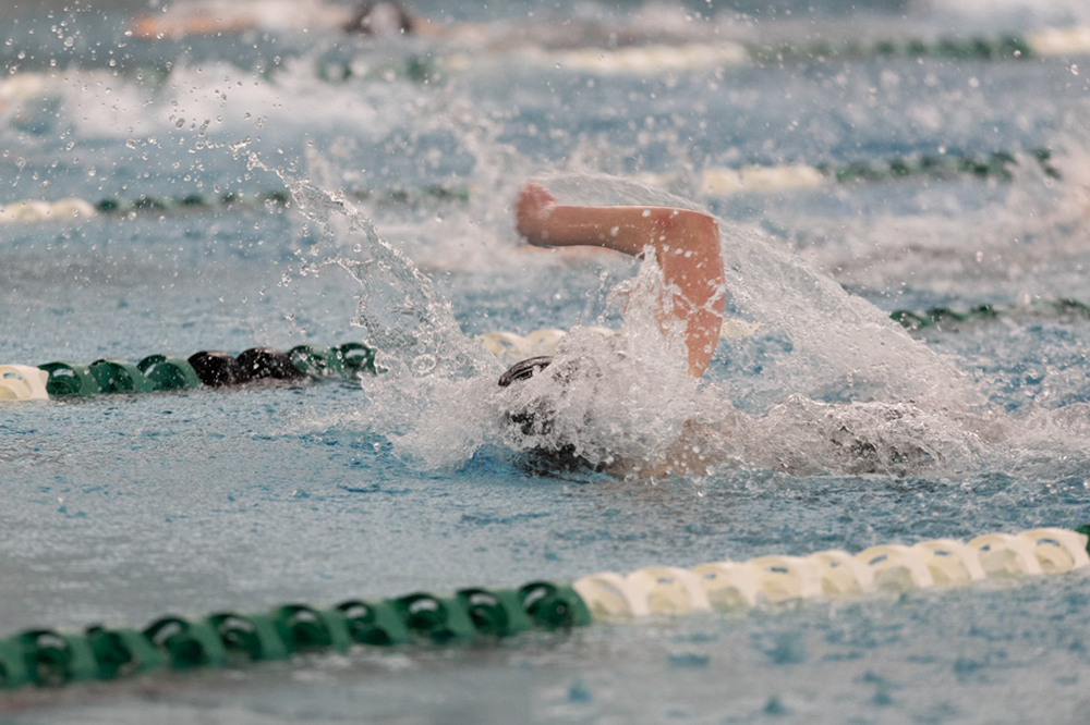 %_tempFileName1M6A8633%