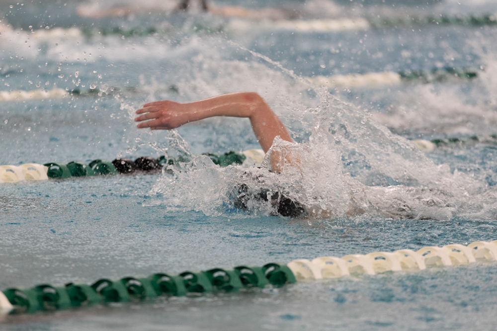 %_tempFileName1M6A8634%