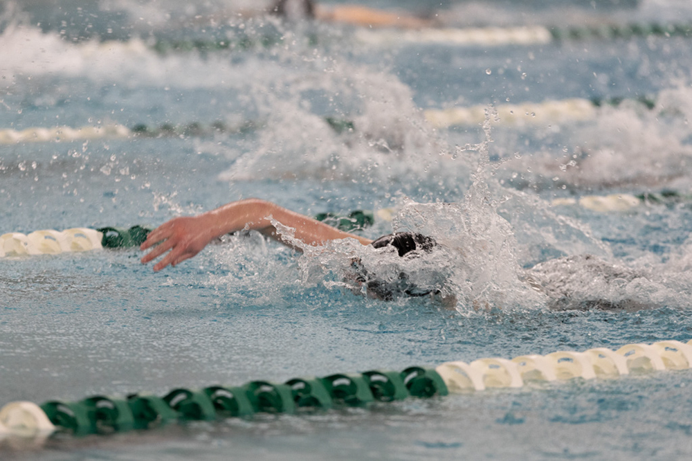 %_tempFileName1M6A8635%