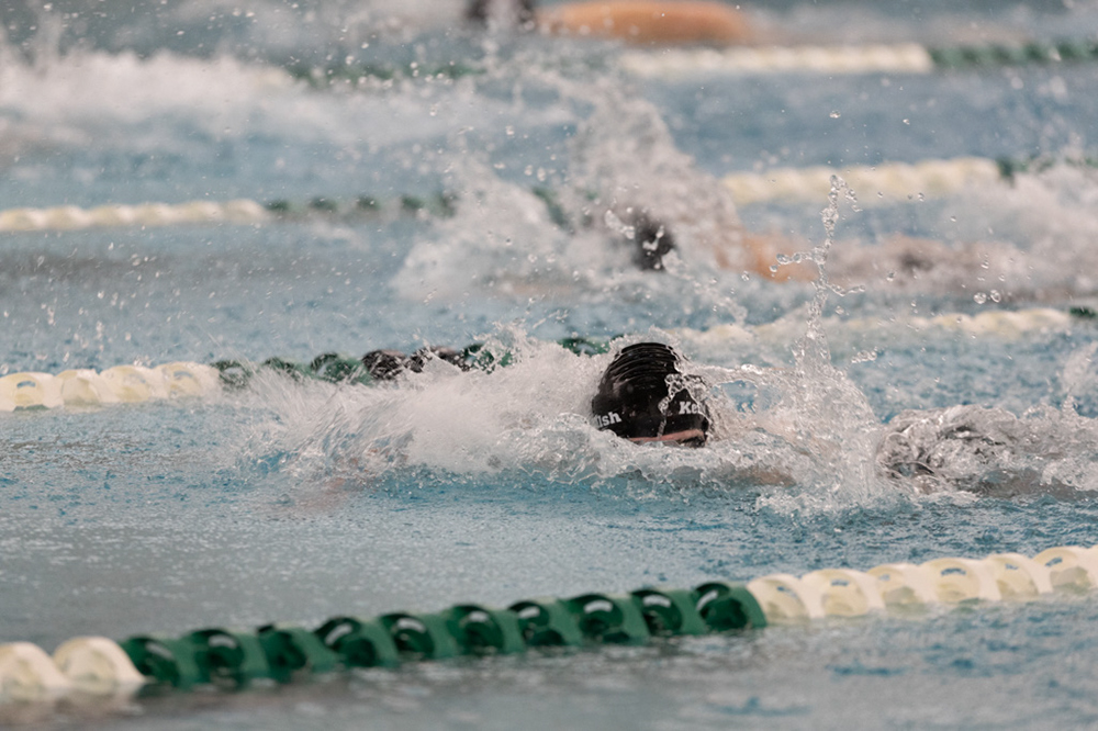 %_tempFileName1M6A8636%