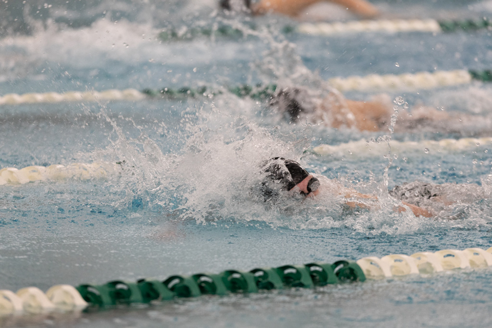 %_tempFileName1M6A8637%