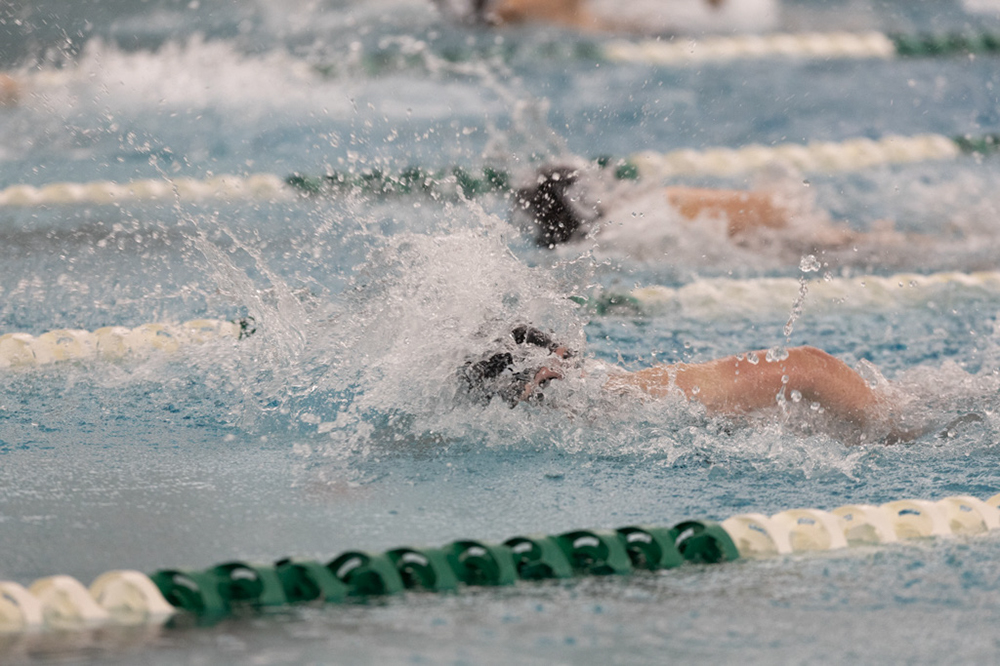 %_tempFileName1M6A8638%