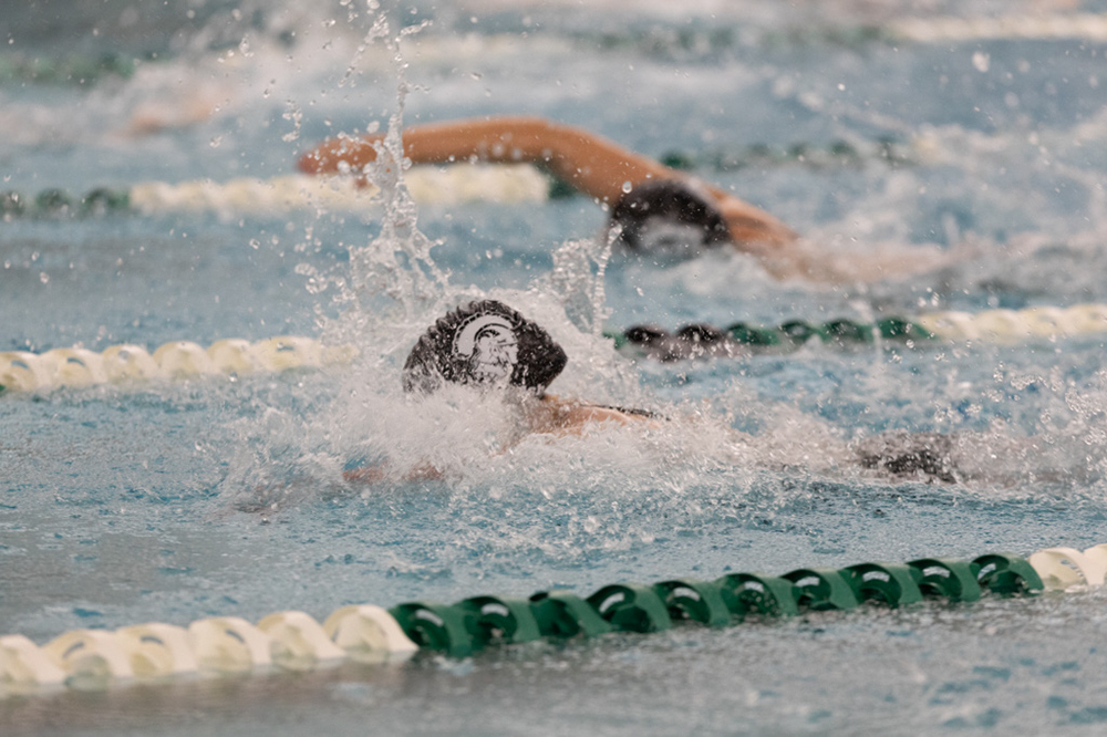 %_tempFileName1M6A8643%