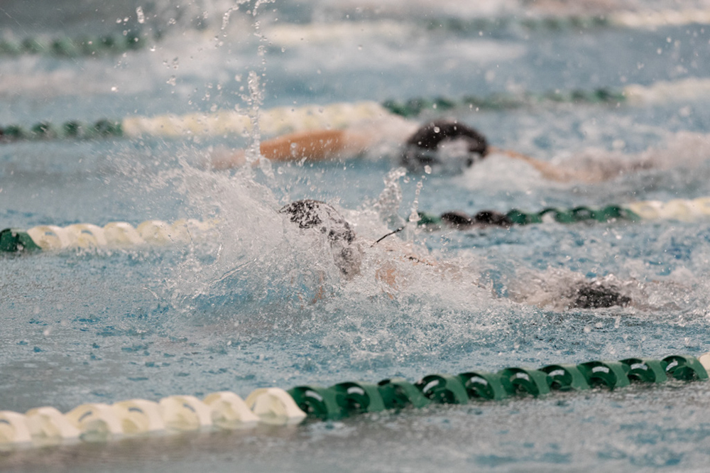 %_tempFileName1M6A8644%