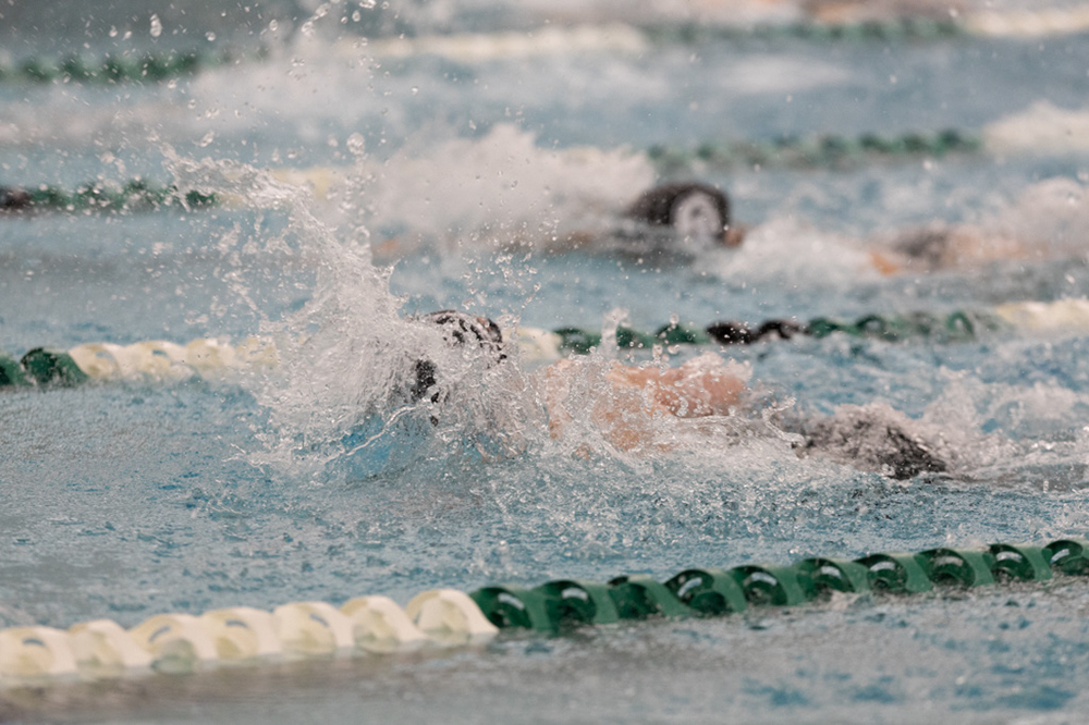 %_tempFileName1M6A8645%