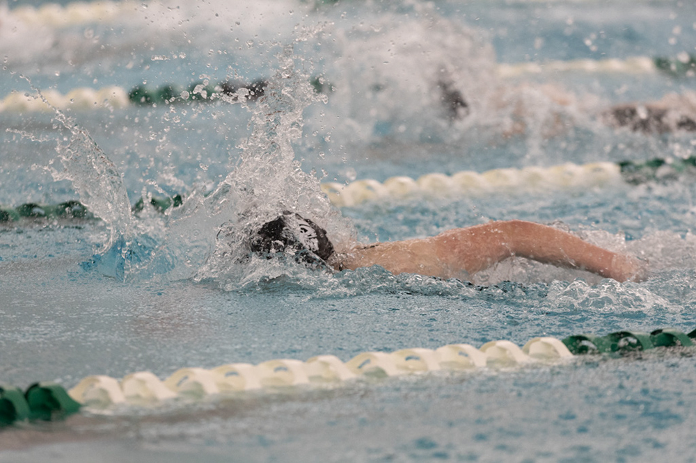 %_tempFileName1M6A8648%