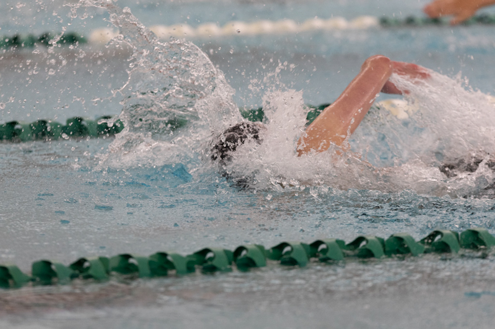 %_tempFileName1M6A8655%