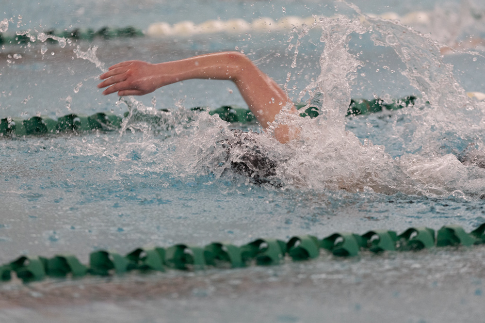 %_tempFileName1M6A8657%