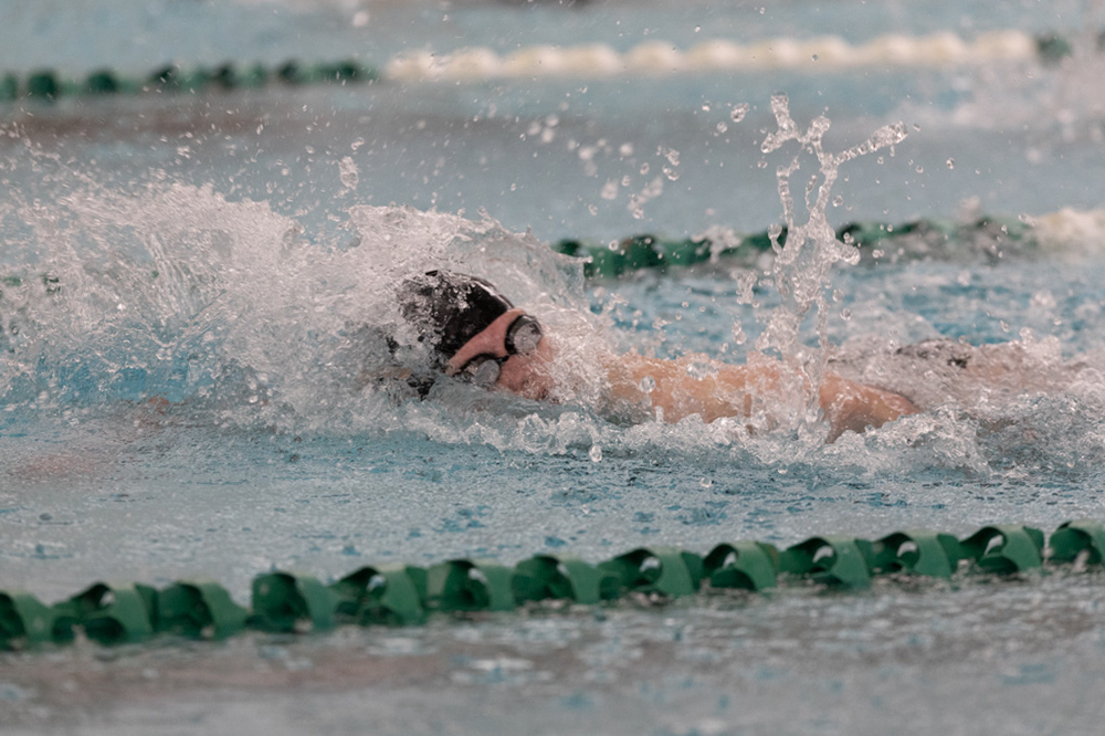 %_tempFileName1M6A8660%