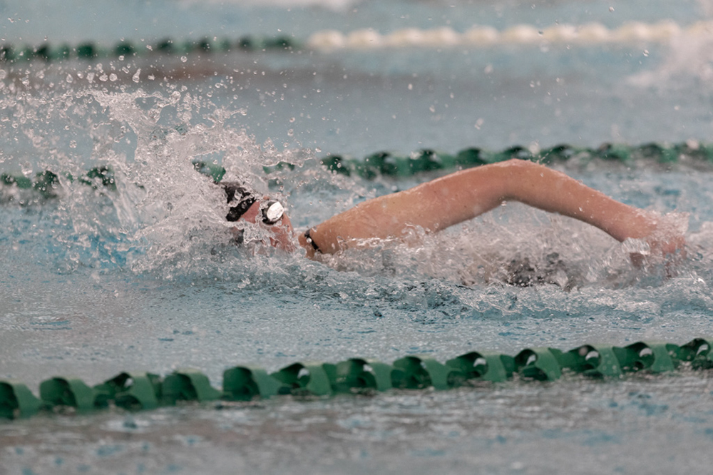 %_tempFileName1M6A8662%