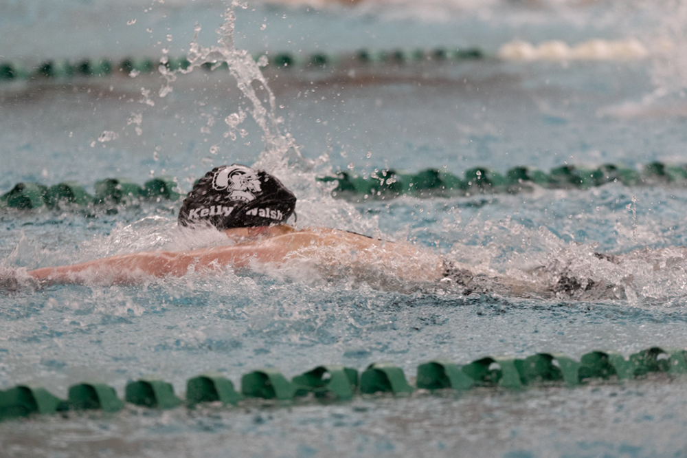 %_tempFileName1M6A8666%