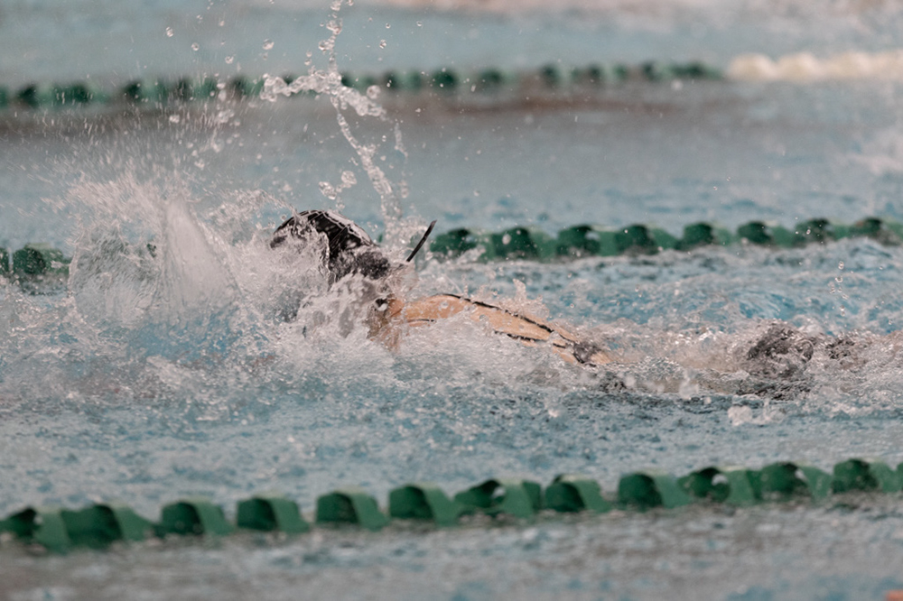 %_tempFileName1M6A8667%