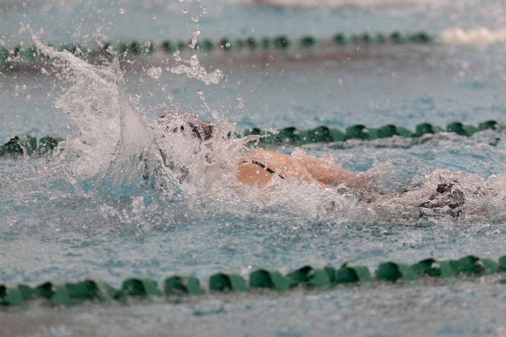 %_tempFileName1M6A8668%